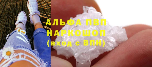 ECSTASY Ельня