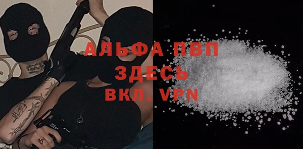 спиды Елизово