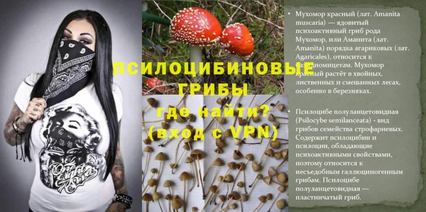 спиды Елизово