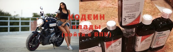 спиды Елизово