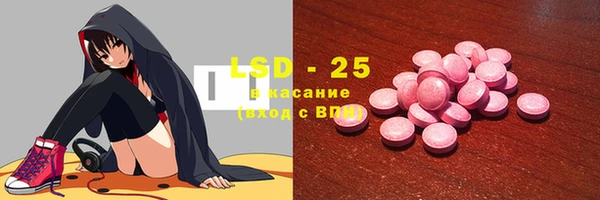 ECSTASY Ельня