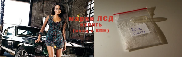 ECSTASY Ельня