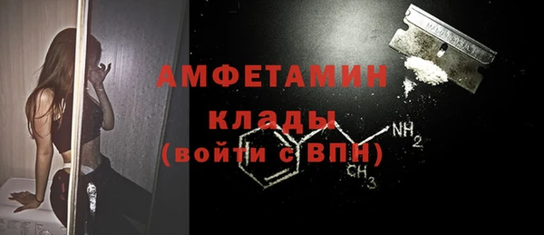 ECSTASY Ельня