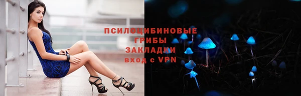 ECSTASY Ельня
