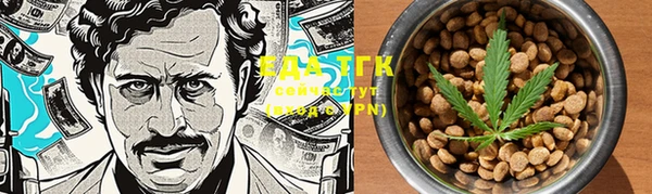 ECSTASY Ельня