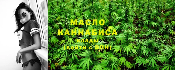 ECSTASY Ельня