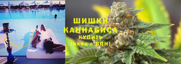 спиды Елизово